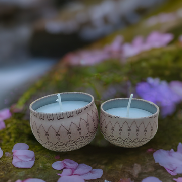 Apple Cinnamon Soy Candle (2-pack)