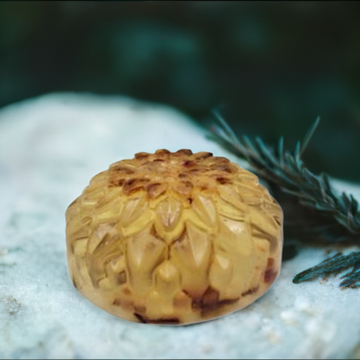 a close up of a flower on a rock