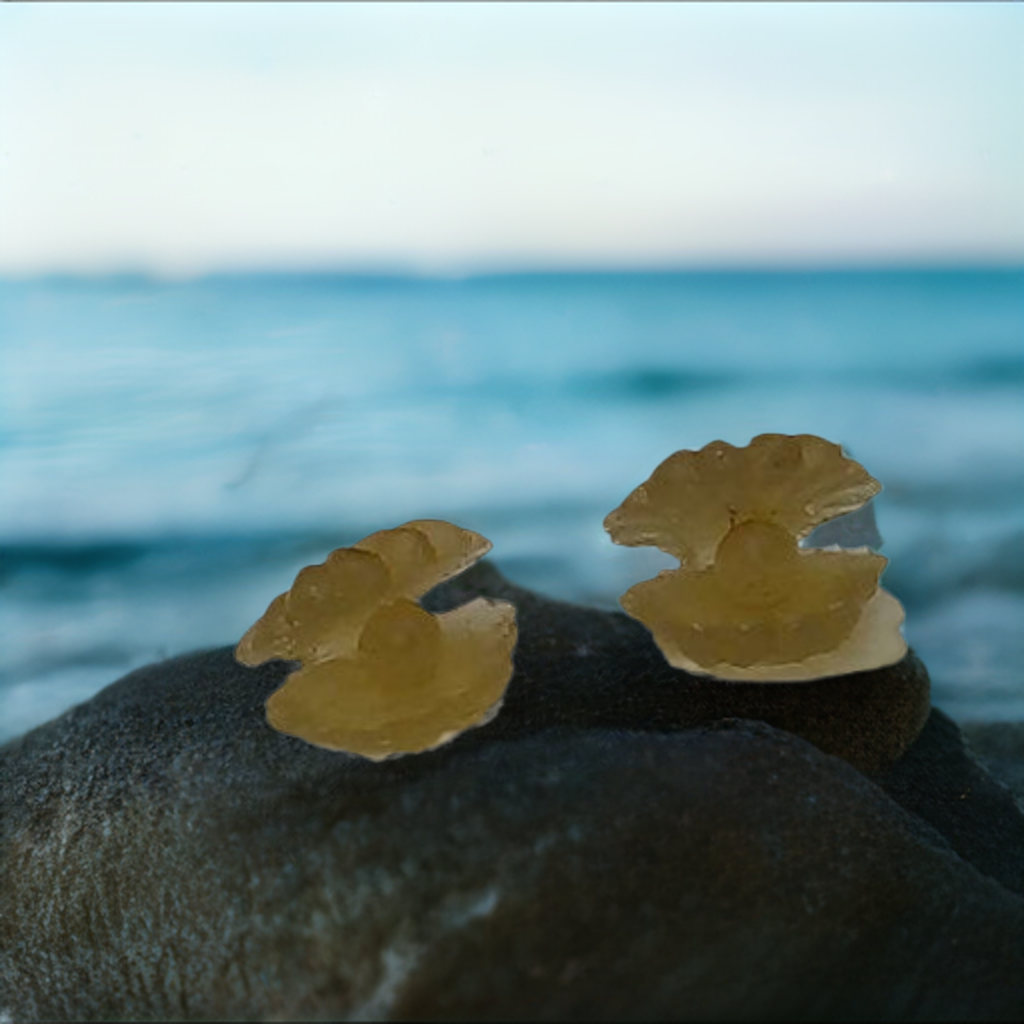 a close up of a rock in the water