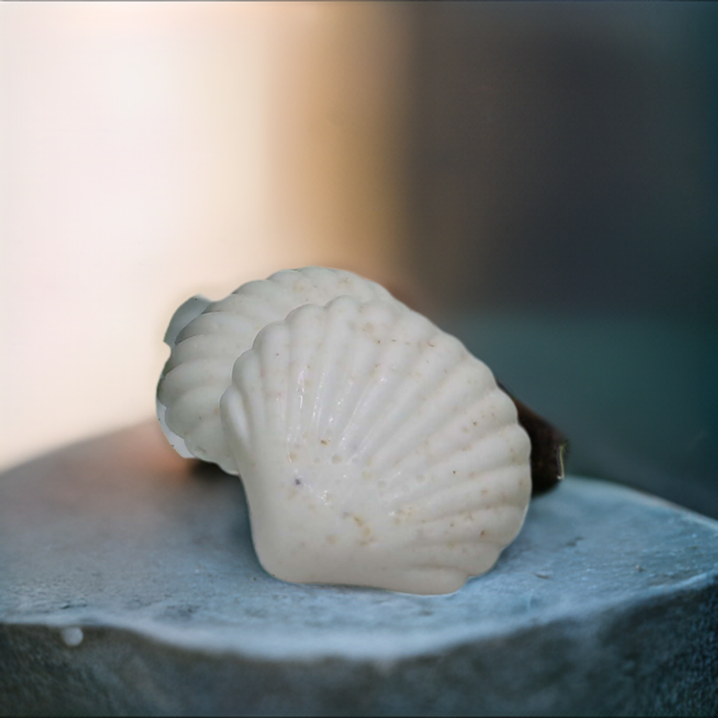 a sea shell sitting on top of a stone slab