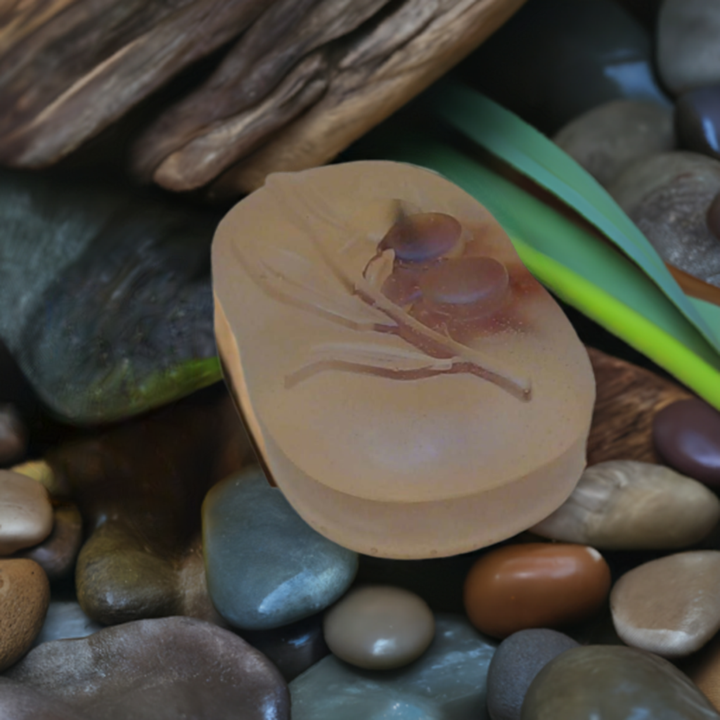 a close up of some rocks and plants