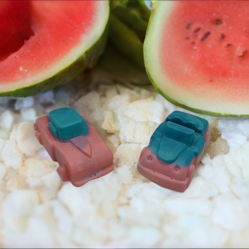 a couple of pieces of food sitting on top of a pile of rice