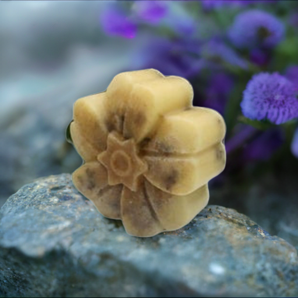 a yellow flower sitting on top of a rock