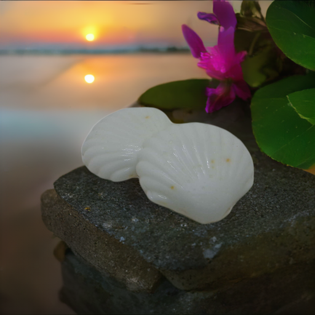 a sea shell sitting on top of a rock next to a flower