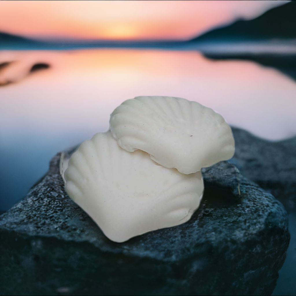 a sea shell sitting on top of a rock next to a body of water