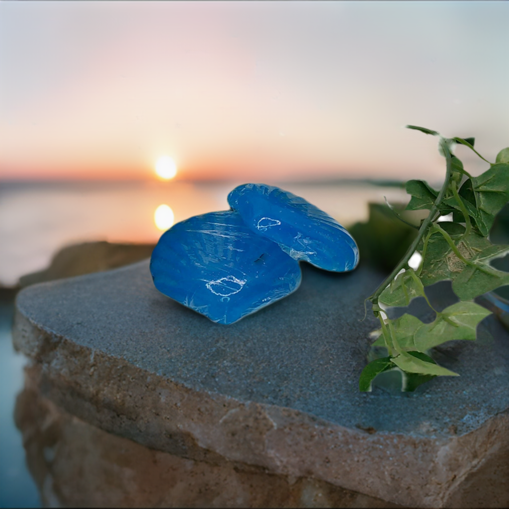 A beautiful ocean breeze shell soap